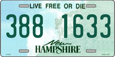 NH license plate 3881633