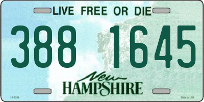 NH license plate 3881645