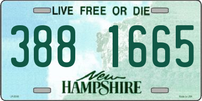 NH license plate 3881665