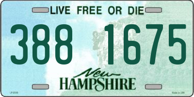 NH license plate 3881675