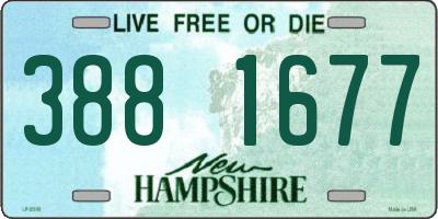 NH license plate 3881677