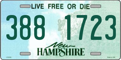 NH license plate 3881723