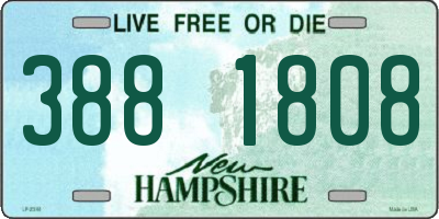 NH license plate 3881808