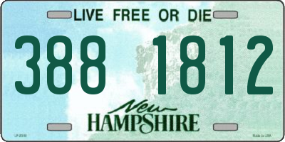 NH license plate 3881812