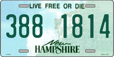 NH license plate 3881814