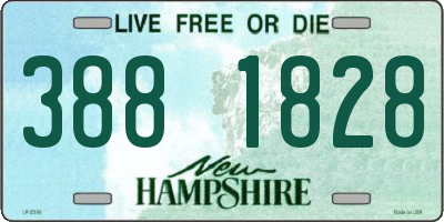 NH license plate 3881828