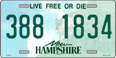 NH license plate 3881834