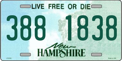 NH license plate 3881838