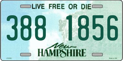 NH license plate 3881856