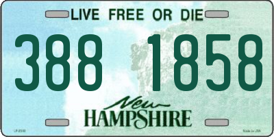 NH license plate 3881858