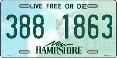 NH license plate 3881863