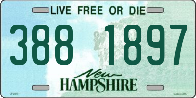 NH license plate 3881897