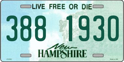 NH license plate 3881930