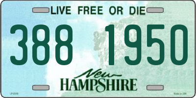 NH license plate 3881950