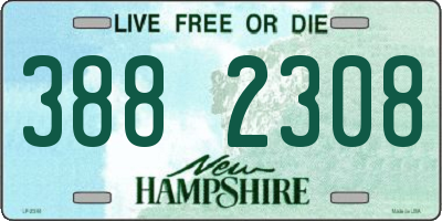NH license plate 3882308