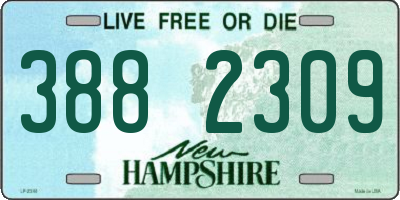 NH license plate 3882309