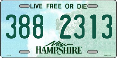 NH license plate 3882313