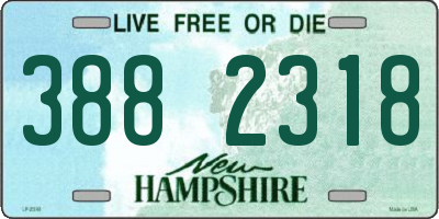NH license plate 3882318