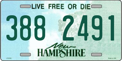 NH license plate 3882491