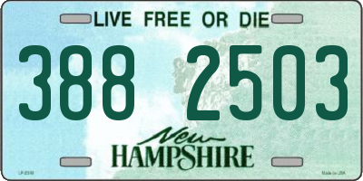NH license plate 3882503