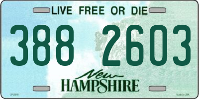 NH license plate 3882603