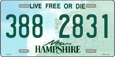 NH license plate 3882831