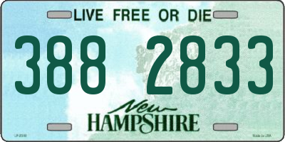 NH license plate 3882833