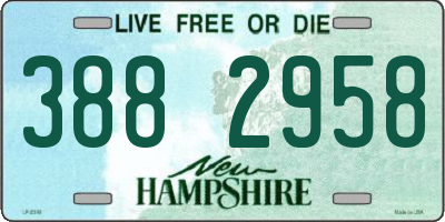 NH license plate 3882958