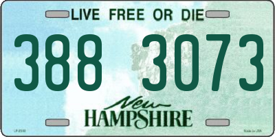 NH license plate 3883073
