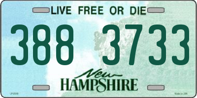 NH license plate 3883733