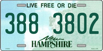 NH license plate 3883802
