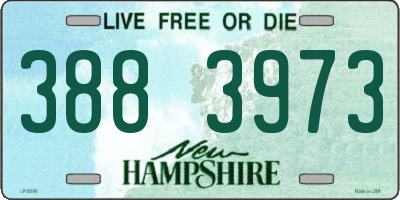 NH license plate 3883973