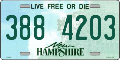NH license plate 3884203