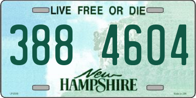 NH license plate 3884604