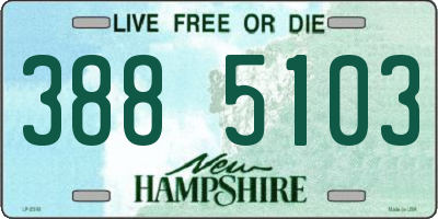 NH license plate 3885103