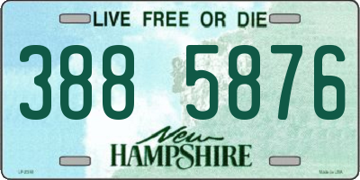 NH license plate 3885876