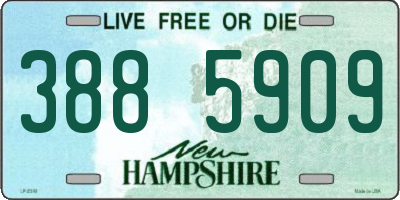 NH license plate 3885909