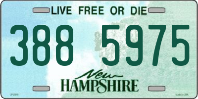 NH license plate 3885975