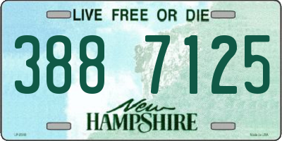 NH license plate 3887125