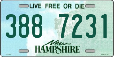 NH license plate 3887231