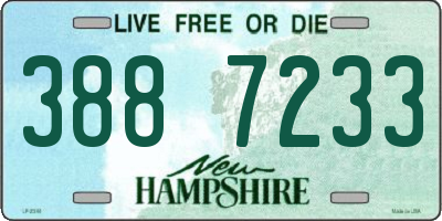 NH license plate 3887233