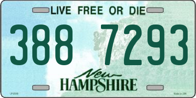 NH license plate 3887293