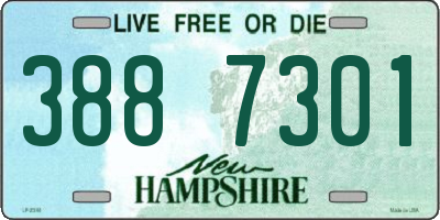 NH license plate 3887301
