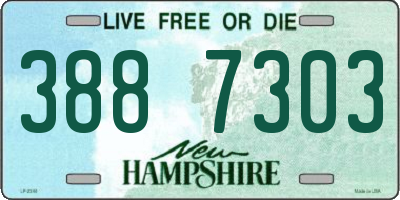 NH license plate 3887303