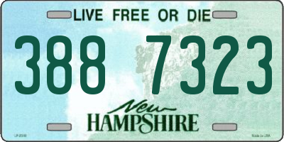 NH license plate 3887323