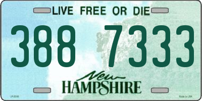 NH license plate 3887333
