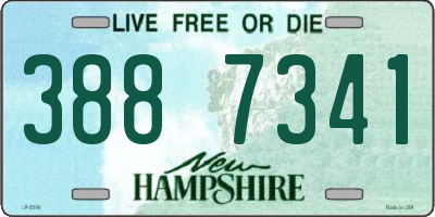 NH license plate 3887341