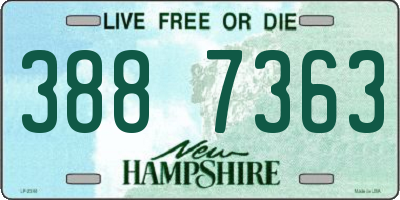 NH license plate 3887363
