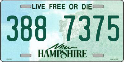 NH license plate 3887375