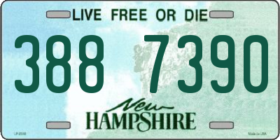 NH license plate 3887390